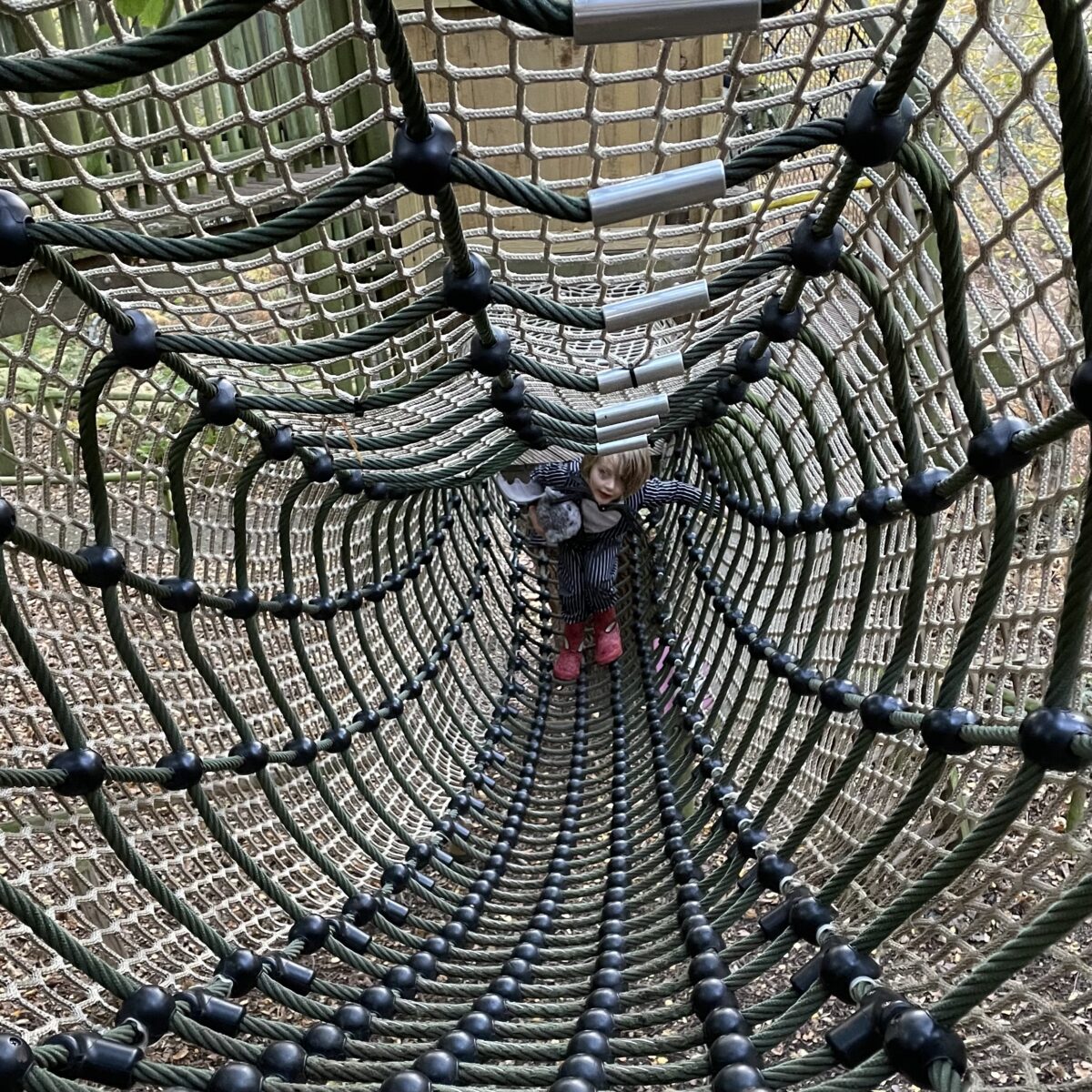 Bewilderwood 1